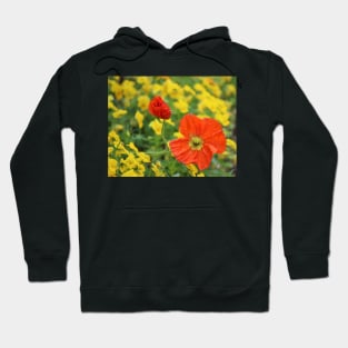 Iceland Poppies Hoodie